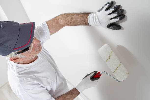 Best Comprehensive Air Testing for Mold Contaminants  in Braska City, NE