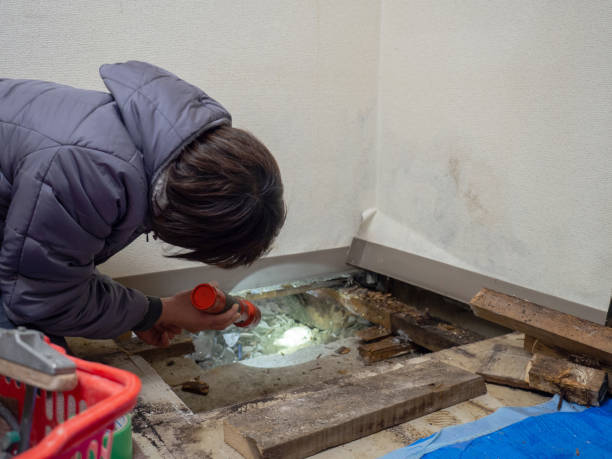 Best Post-Remediation Verification Testing  in Braska City, NE