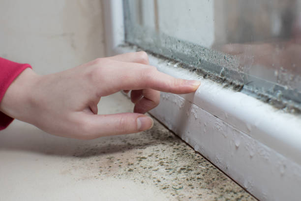 Best Air Quality Testing for Mold Spores  in Braska City, NE