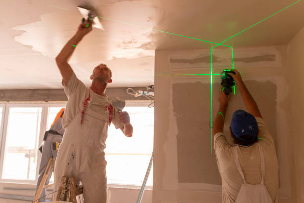 Best Real Estate Mold Inspection  in Braska City, NE